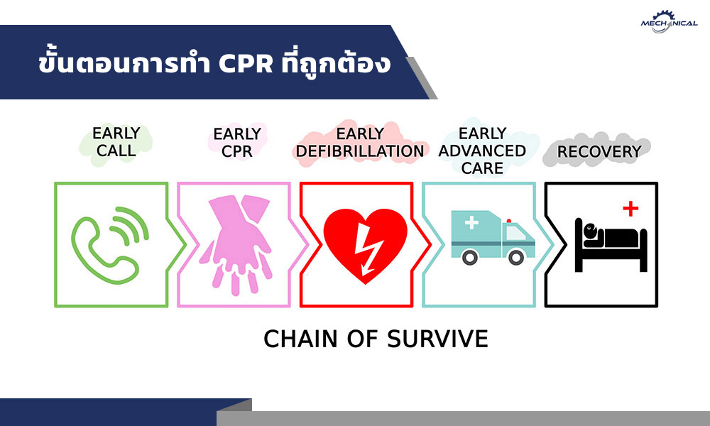 ขั้นตอนการทำ CPR