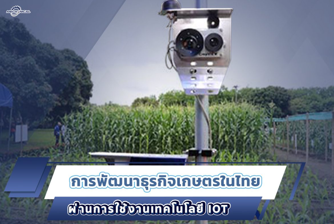 1.การพัฒนาธุรกิจ